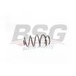 BSG BSG 90-305-004 - Ressort de suspension