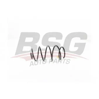 BSG BSG 90-305-004 - Ressort de suspension