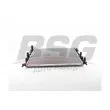 BSG BSG 90-520-035 - Radiateur, refroidissement du moteur