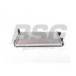 BSG BSG 90-520-037 - Radiateur, refroidissement du moteur