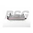 BSG BSG 90-525-028 - Radiateur, refroidissement du moteur