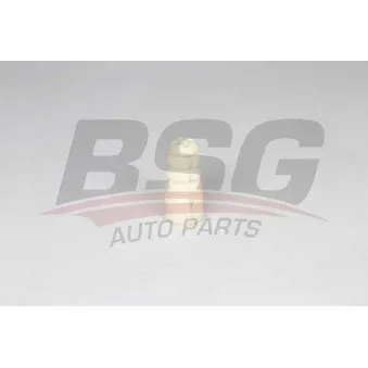 BSG BSG 90-700-237 - Butée élastique, suspension