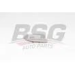 BSG BSG 90-910-050 - Verre de rétroviseur, rétroviseur extérieur