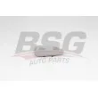 BSG BSG 90-910-051 - Verre de rétroviseur, rétroviseur extérieur