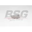 BSG BSG 90-910-053 - Verre de rétroviseur, rétroviseur extérieur
