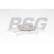 BSG BSG 90-910-056 - Verre de rétroviseur, rétroviseur extérieur