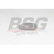 BSG BSG 90-910-059 - Verre de rétroviseur, rétroviseur extérieur