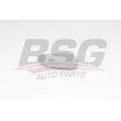 BSG BSG 90-910-060 - Verre de rétroviseur, rétroviseur extérieur