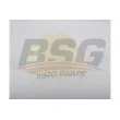 BSG BSG 90-915-009 - Revêtement, rétroviseur extérieur