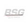 BSG BSG 90-924-052 - Baguette et bande protectrice, porte arrière droit 