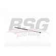BSG BSG 90-980-066 - Vérin, capot-moteur