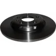 JP GROUP 1163205100 - Jeu de 2 disques de frein arrière