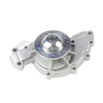 OSSCA 26921 - Pompe à eau