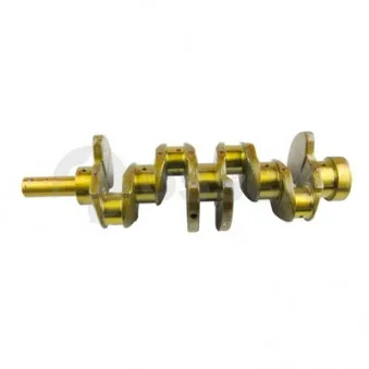 Vilebrequin OSSCA [56016]