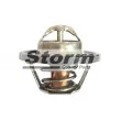 Storm 199028 - Thermostat, liquide de refroidissement