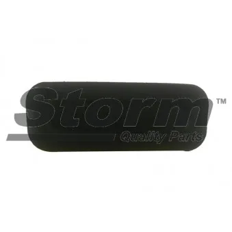 Serrure de capot de coffre Storm OEM 6490R3