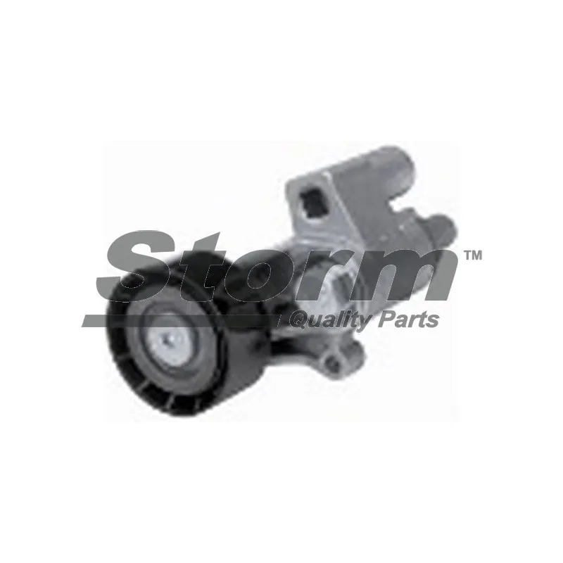 Poulie-tendeur, courroie trapézoïdale à nervures Storm 29993 - Visuel 1