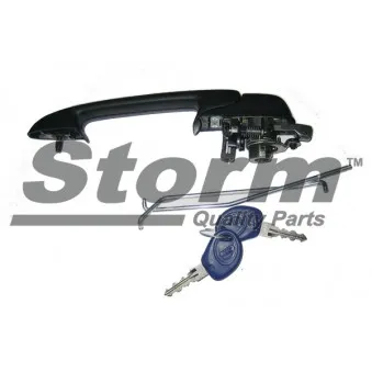 Poignée de porte Storm OEM 46787583