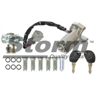 Cylindre de serrure Storm OEM 2992551