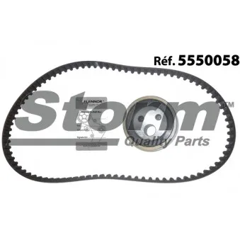 Kit de distribution Storm OEM 7701472644