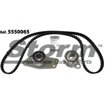 Kit de distribution Storm OEM 7701476884