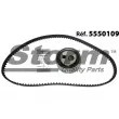 Storm 5550109 - Kit de distribution