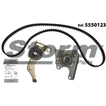 Kit de distribution Storm OEM 0831R4