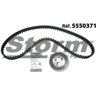 Kit de distribution Storm OEM 7701477024