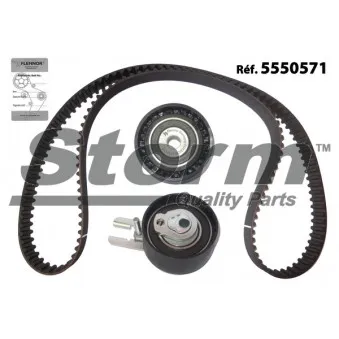 Kit de distribution Storm OEM 0831t3