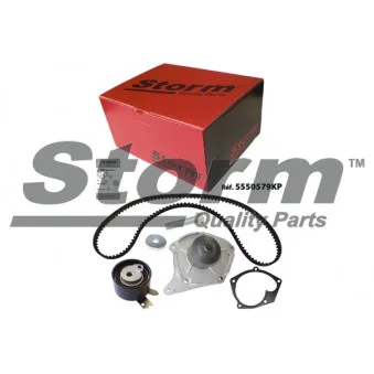 Pompe à eau + kit de courroie de distribution Storm OEM 119A02421R