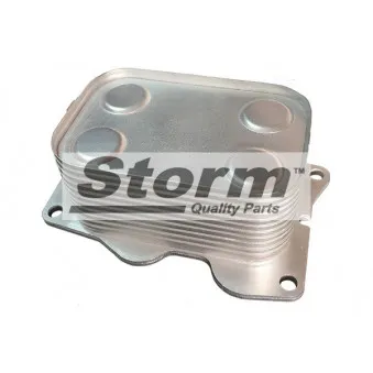 Radiateur d'huile Storm OEM 1363095
