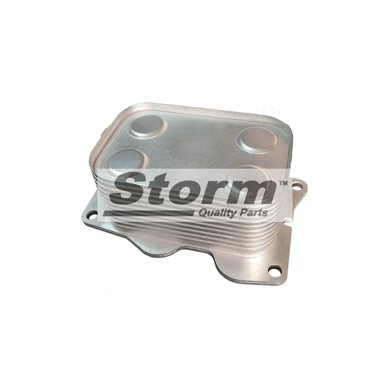 Radiateur d'huile Storm 5741 - Visuel 1