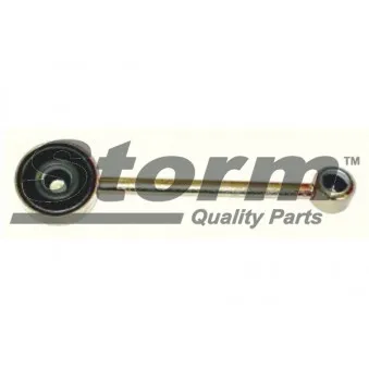 Kit de réparation, levier de changement de vitesse Storm OEM 2454F5