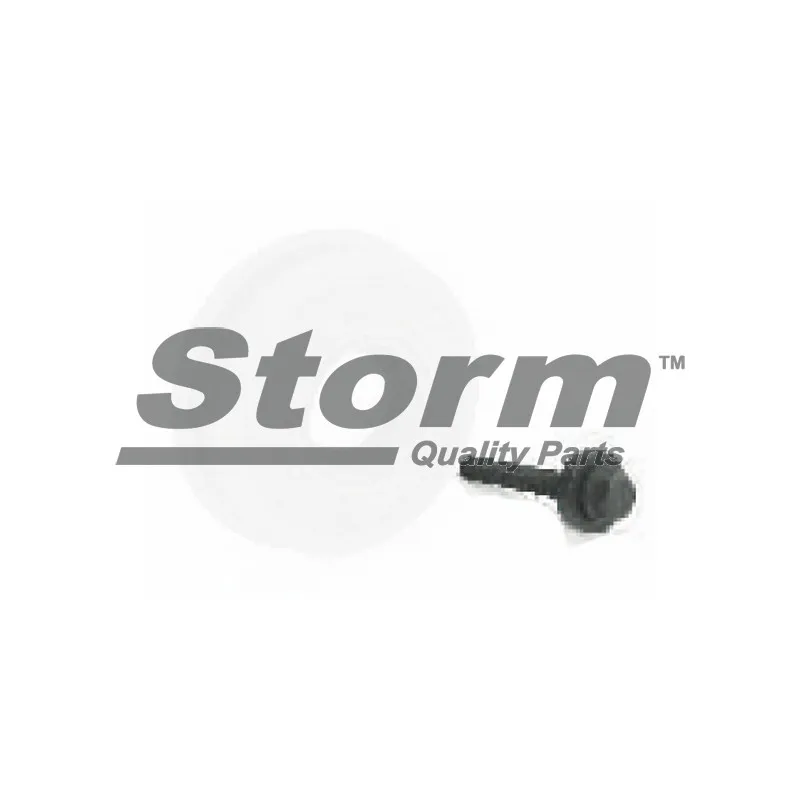 Poulie, vilebrequin Storm 65090KIT - Visuel 1