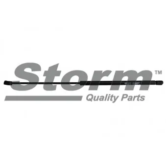 Vérin de hayon, de coffre Storm OEM 873186