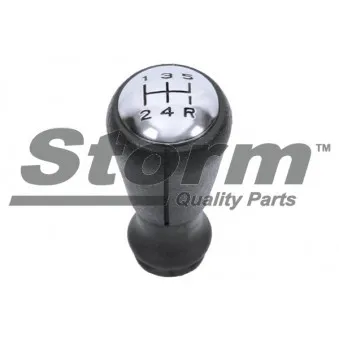 Pommeau Storm OEM 2403AP