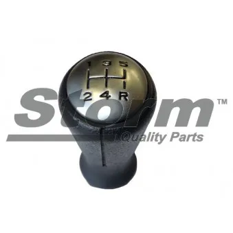 Pommeau Storm OEM 2403X9
