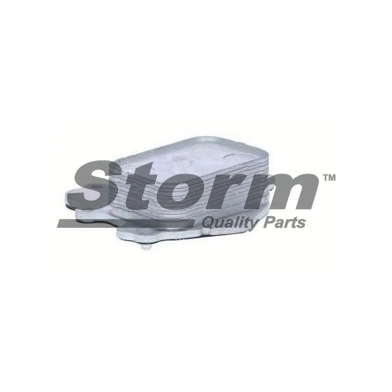 Radiateur d'huile Storm 777300 - Visuel 1