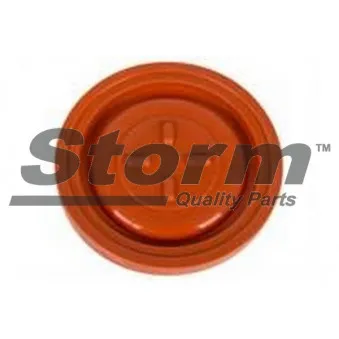 Soupape, dégazage du carter Storm OEM 0248L1
