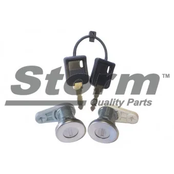 Cylindre de serrure Storm OEM 806018063R