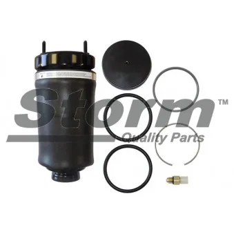 Ressort pneumatique, châssis Storm OEM A1643204513
