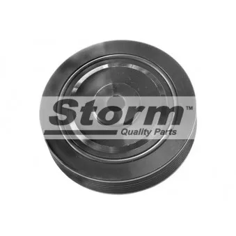 Poulie, vilebrequin Storm OEM 7700863215