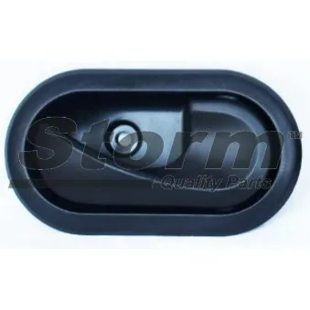 Poignée de porte Storm OEM 8200733847