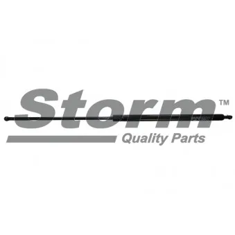 Vérin de hayon, de coffre Storm OEM 7700303186