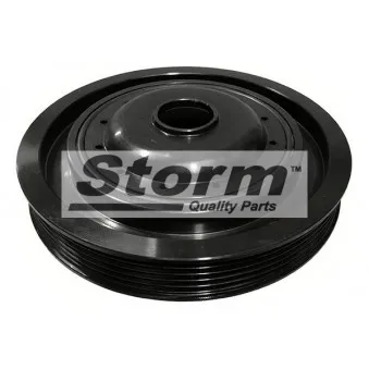 Poulie, vilebrequin Storm OEM 8200477938