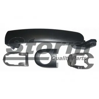 Poignée de porte Storm OEM 3B0837207B
