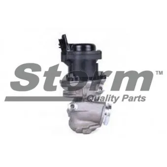Vanne EGR Storm OEM 1748264