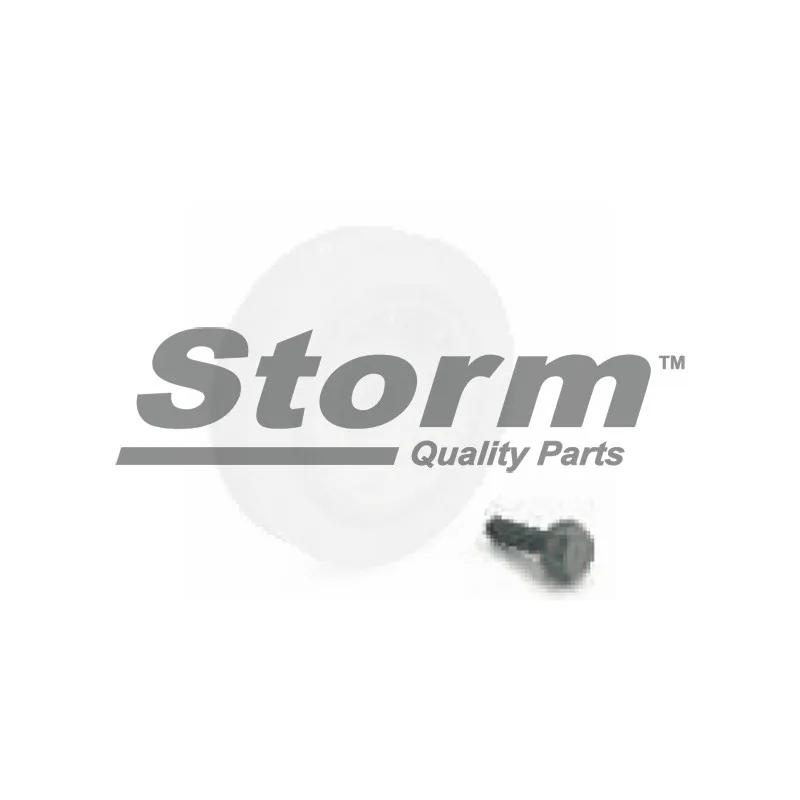 Vis de poulie Storm 99995KIT - Visuel 1