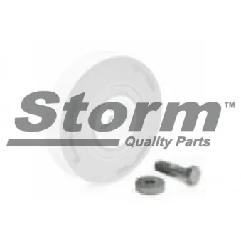 Poulie, vilebrequin Storm OEM 0516A6