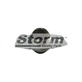 Storm F0173 - Silent bloc de suspension (train avant)